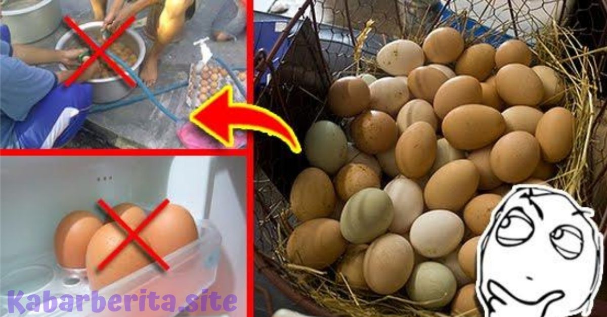 Haram Dilakukan! Bukannya Bersih dan Sehat, Mencuci Telur Mentah Malah Berbahaya Untuk Kesehatan!