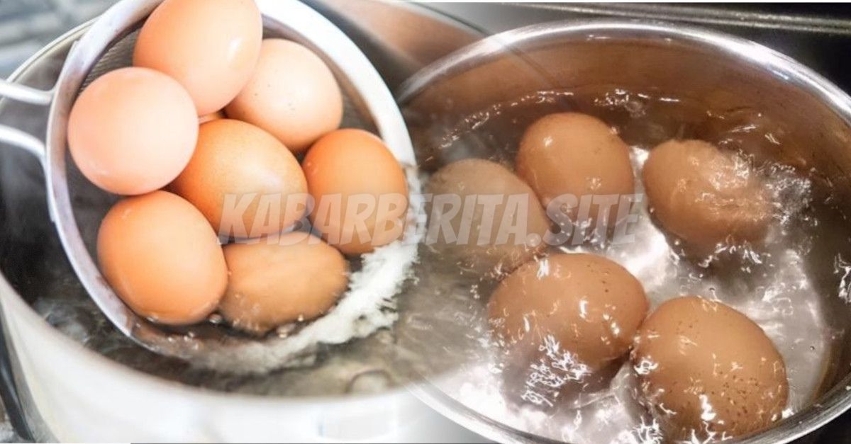 Telur Jika Direbus Dengan Cara Begini Malah Bakteri Tidak Mati, Bisa Keracunan